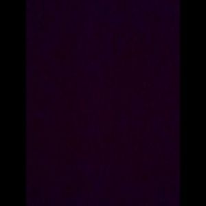 Meet your Posher, Darius